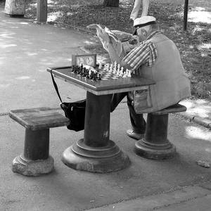 Chess Players I