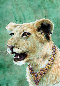 Collared lioness