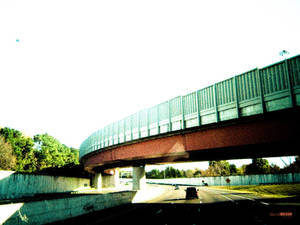 The overpass