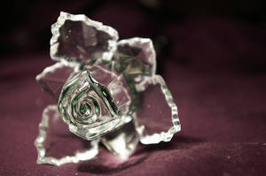 crystal rose