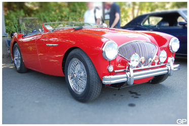 '55 Austin Healey 100