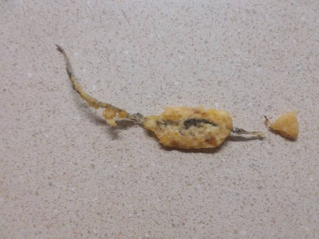 Cursed Tortia chip that has hair like thing on it. by Troyboy770 on ...