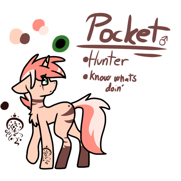 REF: Pocket (Pony Tribe)