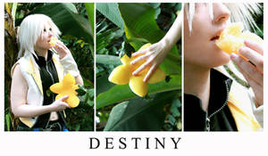 Riku - Paopu Destiny