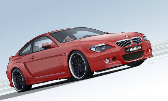 BMW M6 Hamann vexel