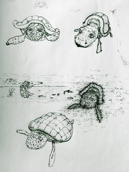 Sea turtles