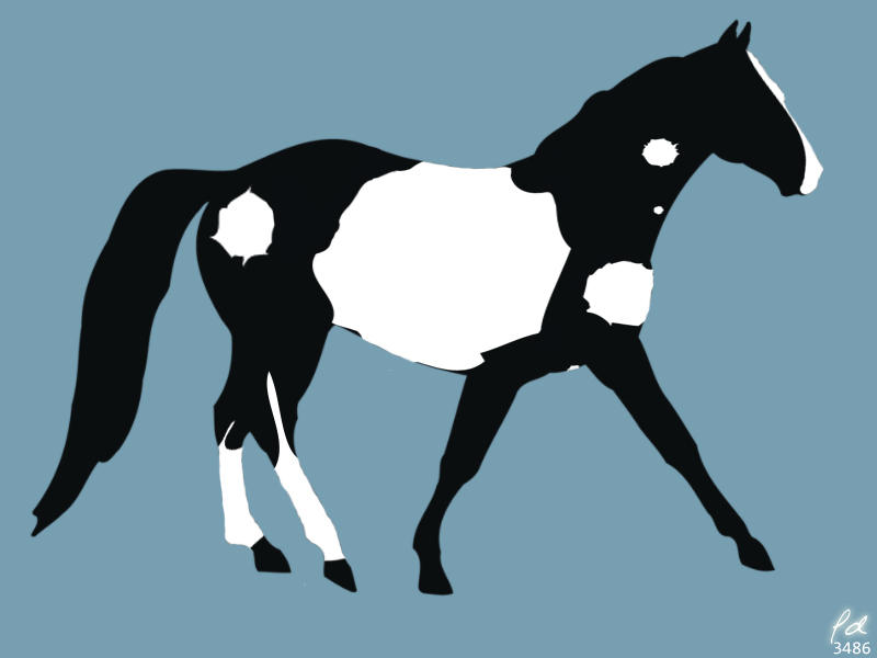 Pinto Vector pinto vector by Koiponydesigns on DeviantArt