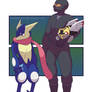 Ninja and Ninja Pokemon