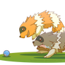 Zigzagoon-Race of Gluttons