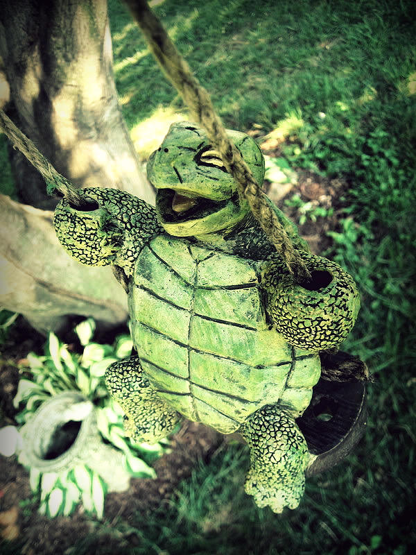 Swinging Turtle by jessicalaura6 on DeviantArt