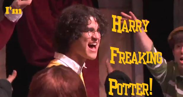 harry freaking potter