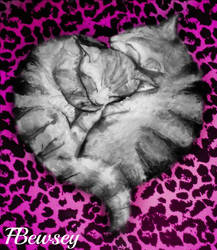 Cats in a heart