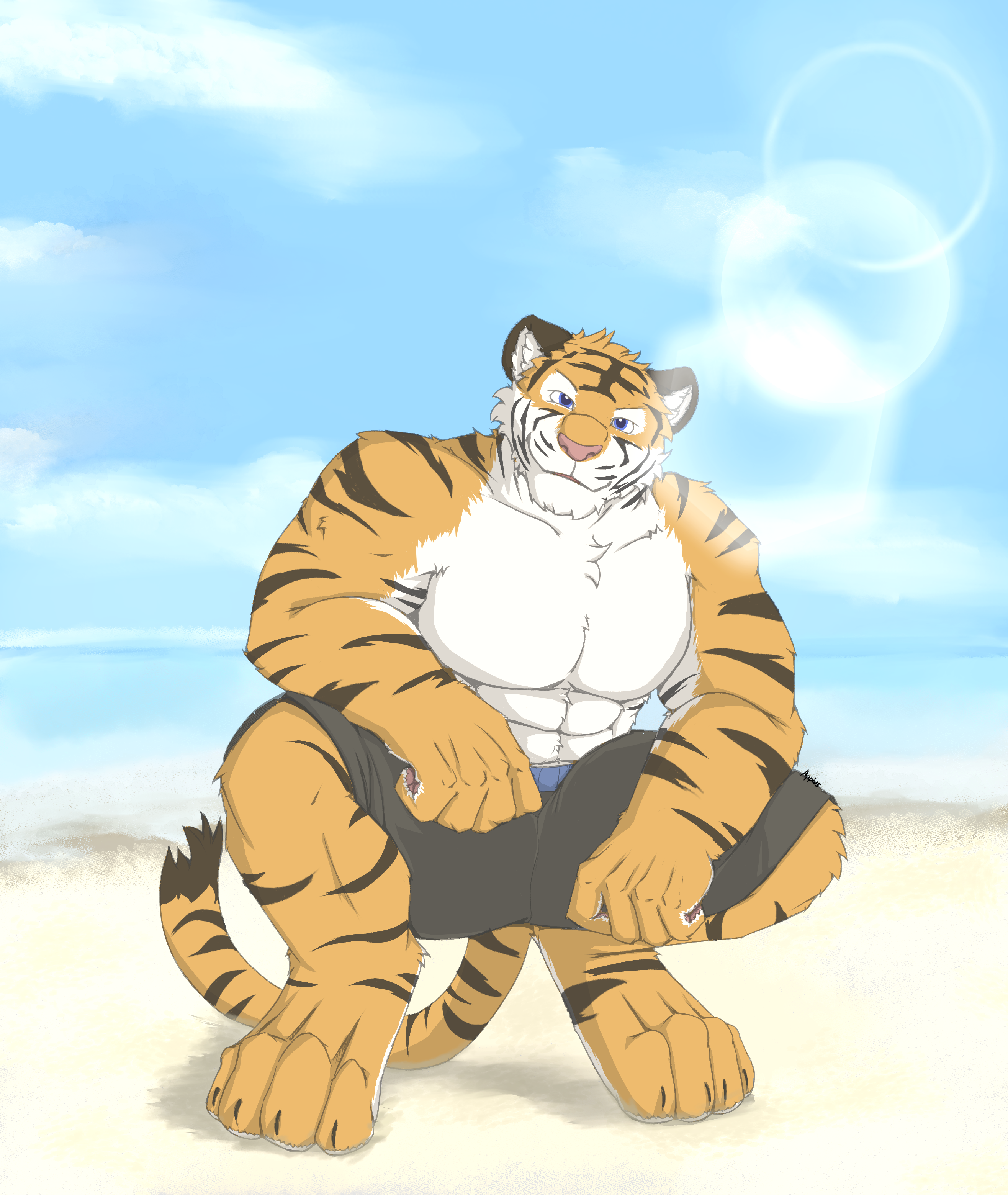 Beach Tiger