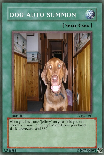 dog auto summon yugioh card by amew24 on DeviantArt