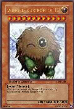 winged kuriboh lv12yugioh card