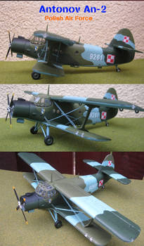 Antonov An-2 in a 1/72 scale