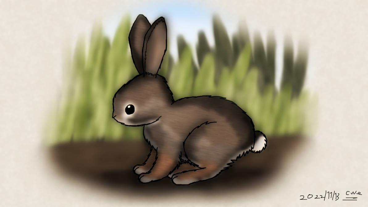 Brown Rabbit Deviantart Rabbit by CWE99999999000 on DeviantArt