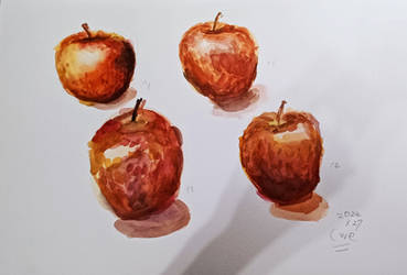 Apples (Watercolor Painting)