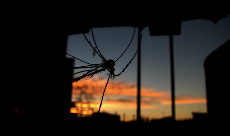 string spider by beethy on DeviantArt