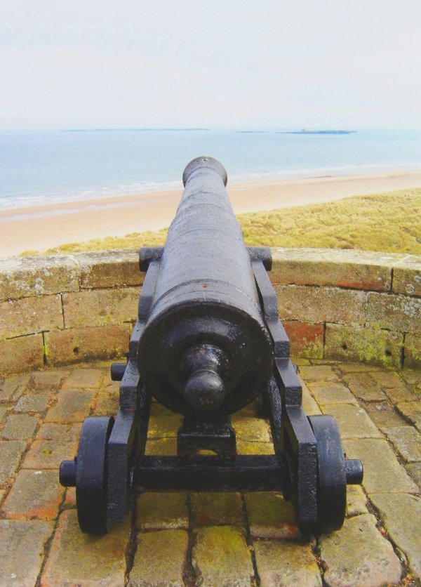 Cannon 2