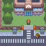 Pewter City's Rock Gym Type - Pokemon Final Red