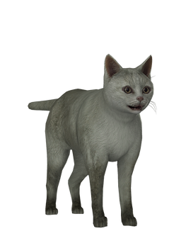 Yakuza Kiwami - Cat [XPS DL]