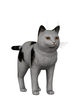 Nioh - Cat [XPS DL]