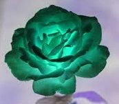 Inverted Rose Pattern Inverted rose by AlienMohawk on DeviantArt