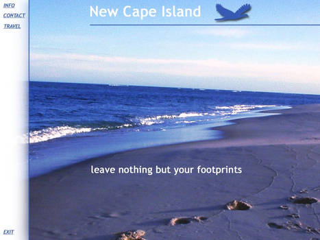 New Cape Island Inteface