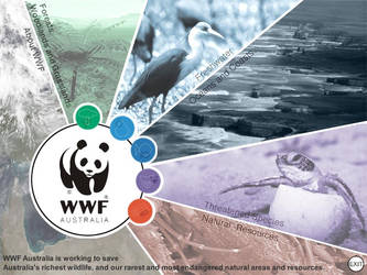 WWF main interface