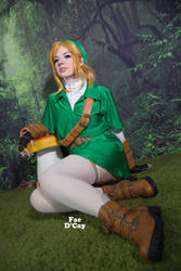 Legend Of Zelda: Link by FaeDcay