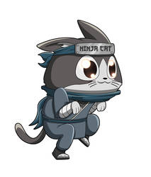 Ninja Cat