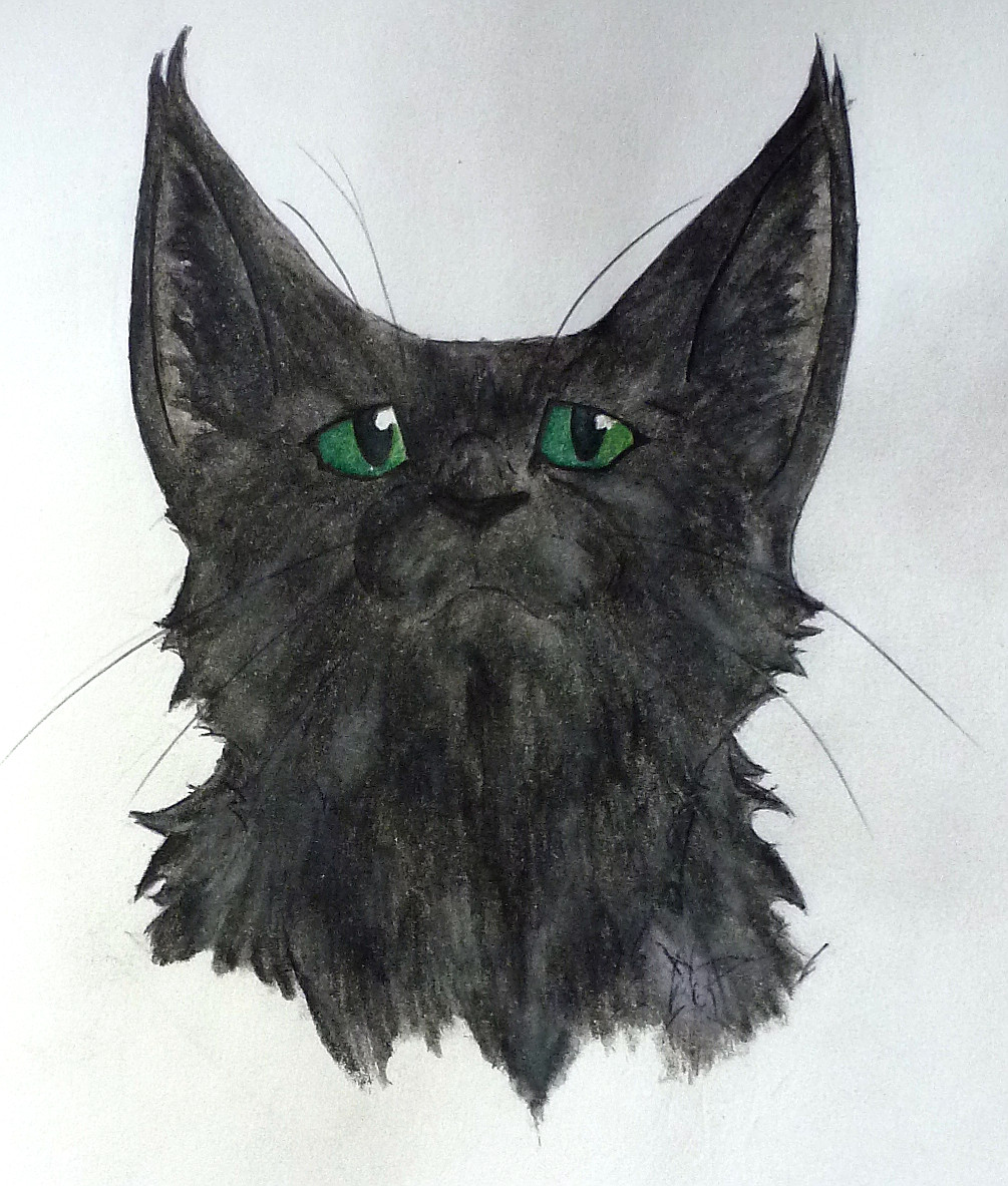 AWAW 015 - Hollyleaf