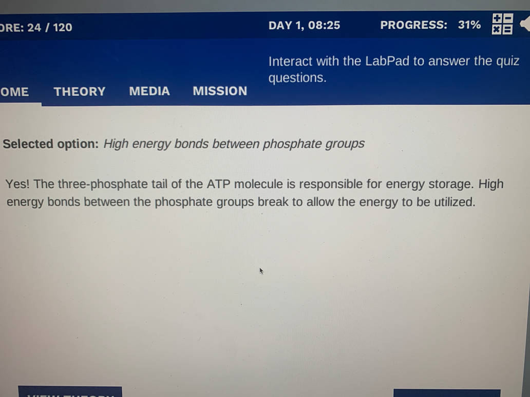 Atp 855 how do atp molecules store energy Answer by yomamacallsmejeff123 on ...