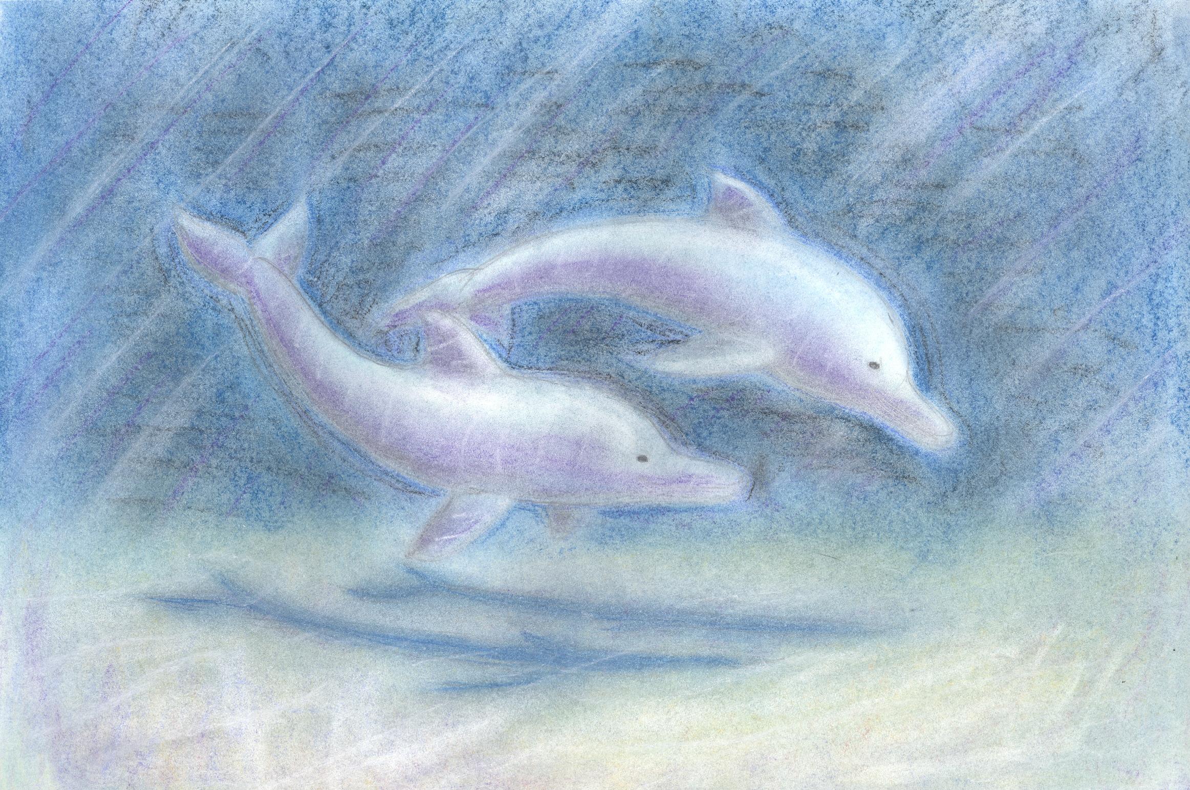 Pastel Dolphins