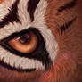 Tiger eyes