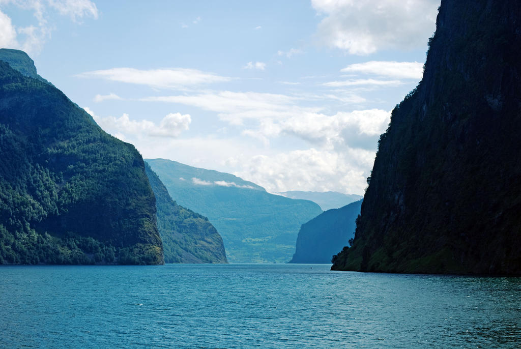 Guards of the fjord