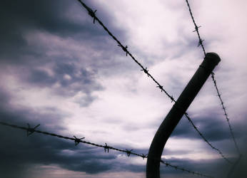 Barbed Wire Dreams