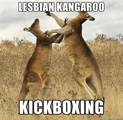 Funny Kangaroo meme by yertrenrut on DeviantArt