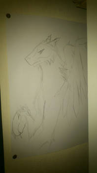 winged wolf