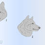 WOLF YCH SLOTS OPEN
