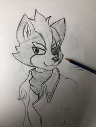 Traditional: Wolf O Donnell