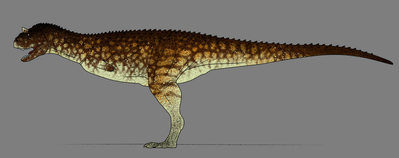 Maxsentia on X: The Urutu skin for the Absentia Path of Titans  Acrocanthosaurus Mod. Created by @NiTr0z24 and conceptualized by  @gamevidsforlife. #PathOfTitans #Acrocanthosaurus #Dinosaur #Dinosaurs #Mod  #Modding #Blender #Render #PaleoArt