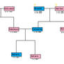 Mizuki-Akiyama-Albatrosa Family Tree