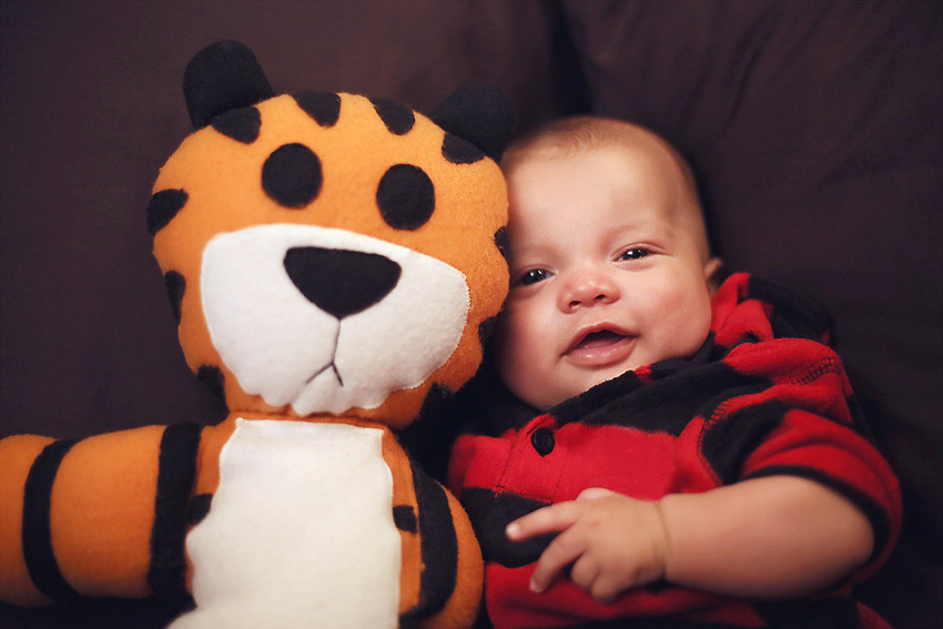 Calvin and Hobbes (this is where hobbes ended up:)