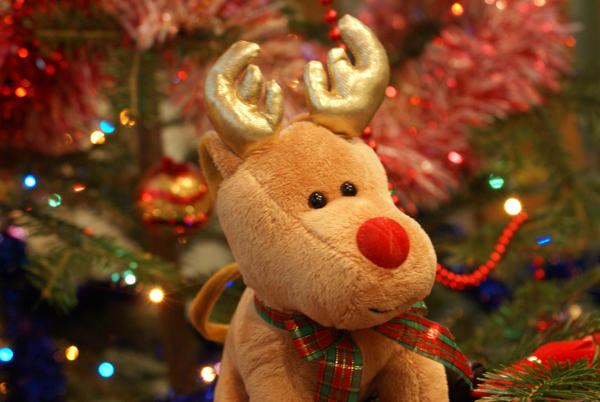 Rudolf Toy