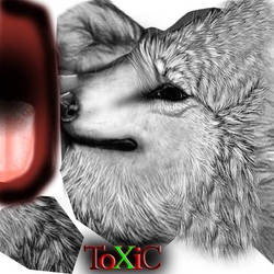 Toxicchead5 By C A T T N I P Dddjz2g-400t