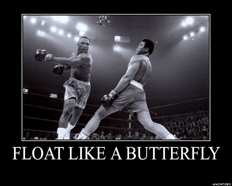 Float Like A Butterfly By Ninjatoespapercraft On Deviantart Float Like A Butterfly By Ninjatoespapercraft On Deviantart