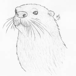 Request: River Otter