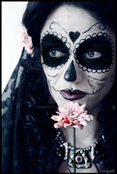 Dia de Los Muertos 4